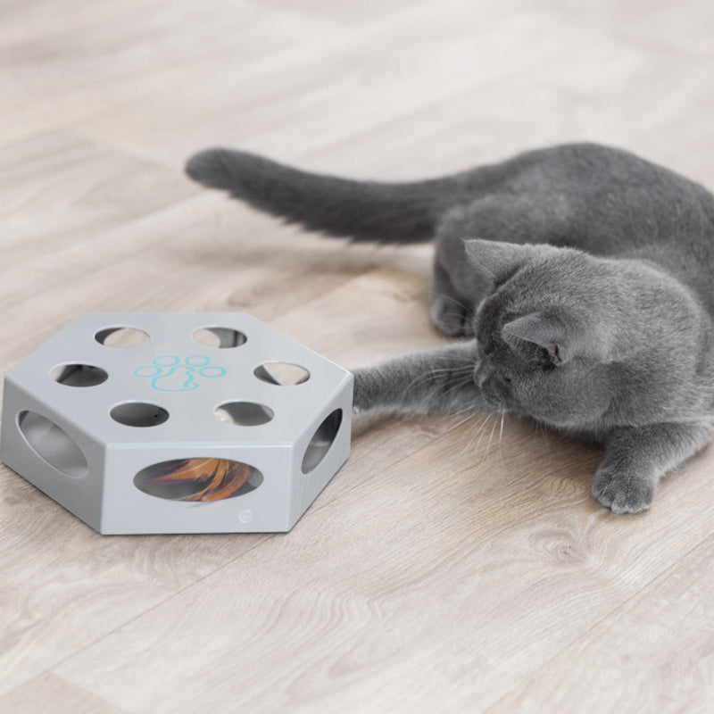 trixie interactive cat toy with feather