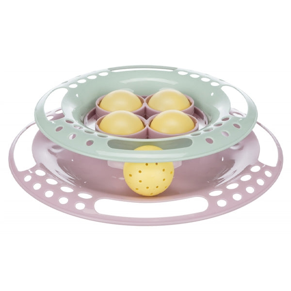 junior kitten circle