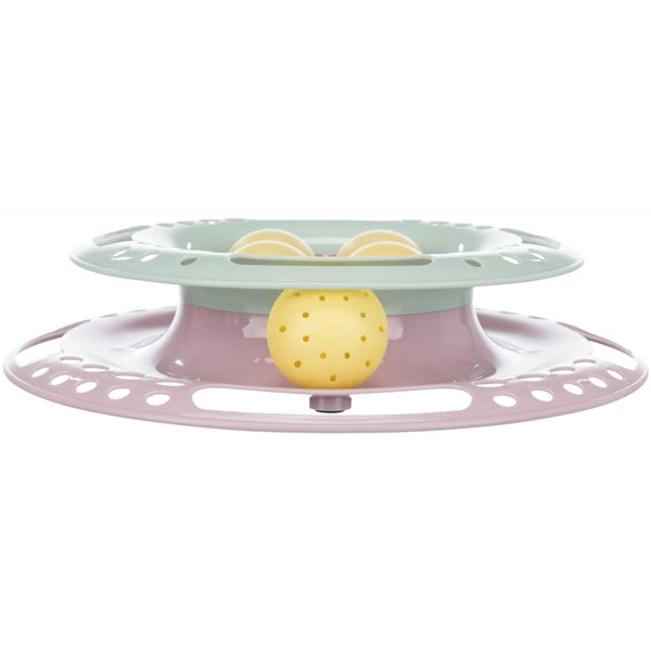 junior kitten circle