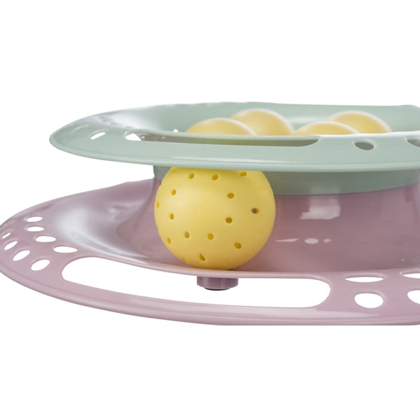 junior kitten circle