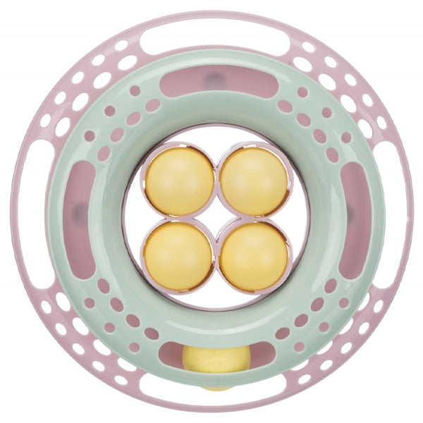 junior kitten circle